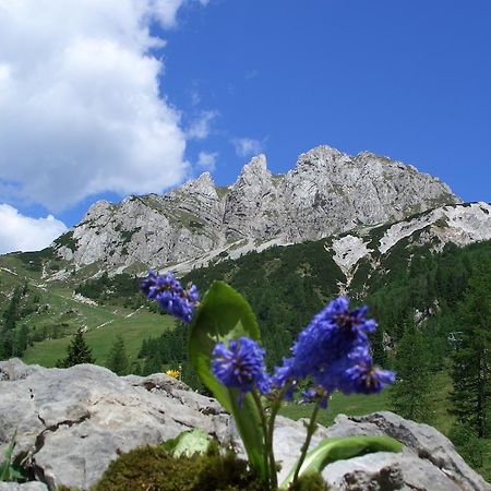 Fewo Burgstaller Tröpolach Exteriér fotografie